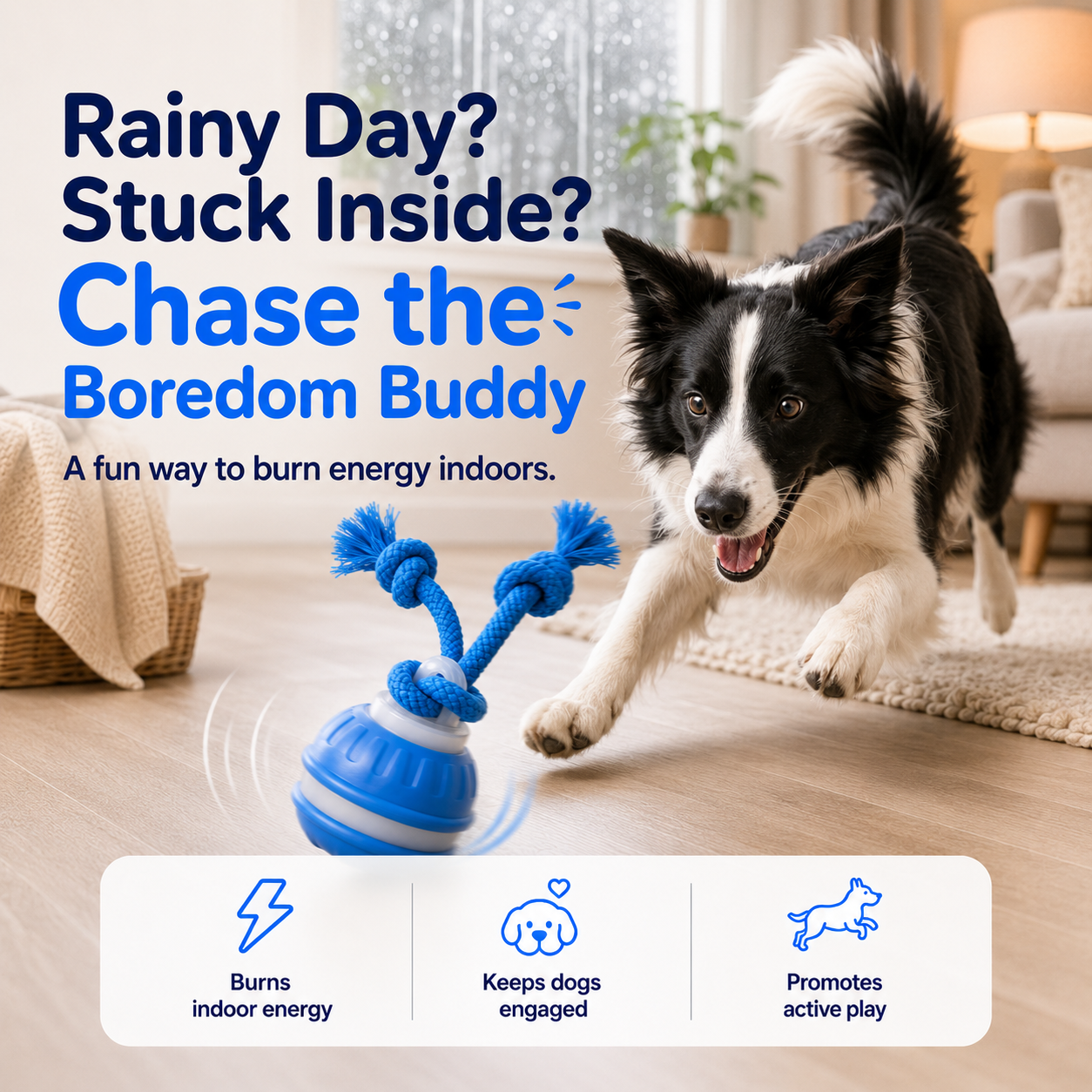 The Boredom Buddy