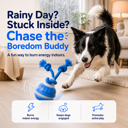 The Boredom Buddy